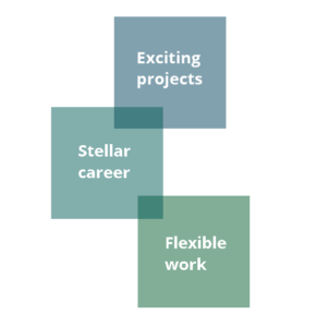We offer Junior Consultants exciting projects, a stellar career and flexible work