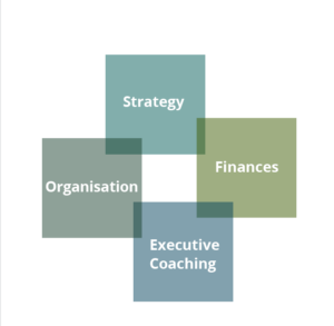 Flächen-Diagramm zeigt wie die Geschäftsfelder Strategie, Organisation, Finanzen und Executive Coaching bei der Unternehmensberatung RADTKE & ASSOCIATES Internationale Managementberater vernetzt sind.