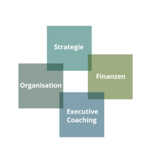 Unternehmensberater mit ausgezeichneter Erfahrung in den Bereichen Strategie, Organisation, Finanzen, Coaching von Führungskräften